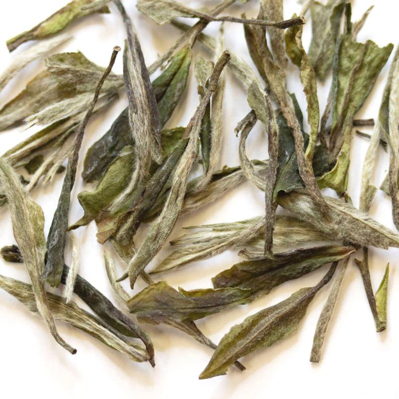 Bamboo Forest Bai Mu Dan | White Tea TEA White Tea