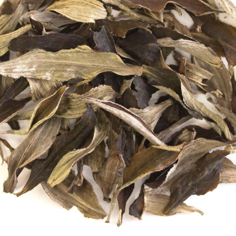 Ceylon Silver Feathers | White Tea TEA White Tea