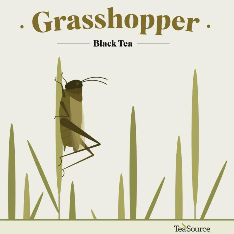 Grasshopper | Black Tea Black Tea Black Tea