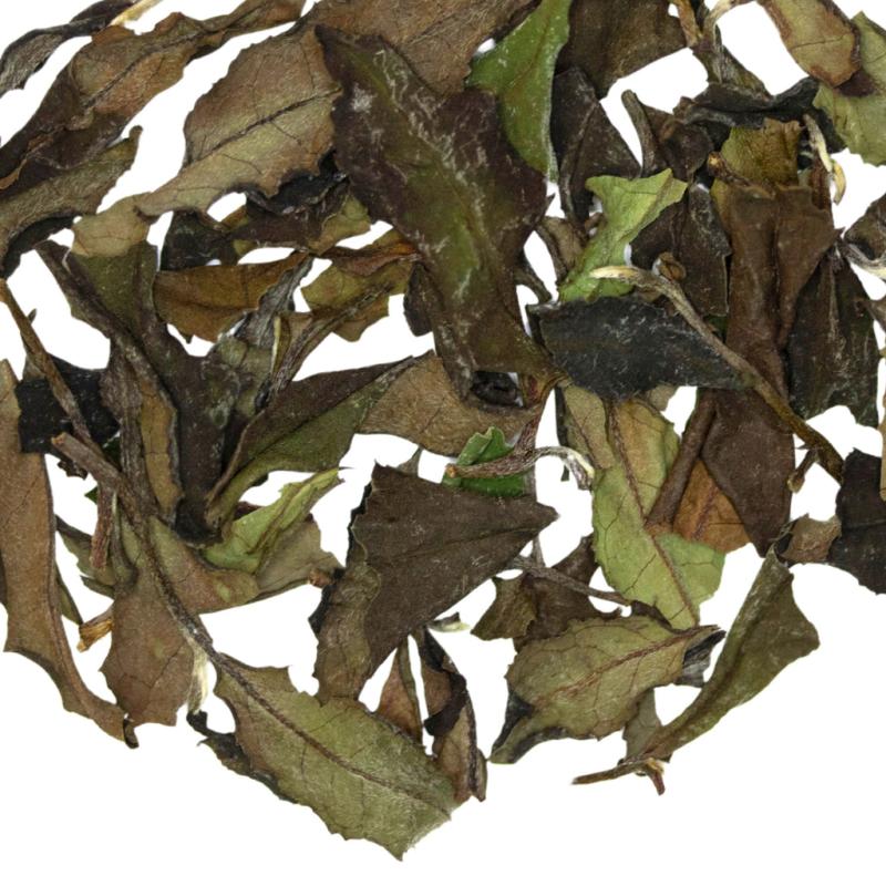 Untamed Elements | White Tea TEA White Tea