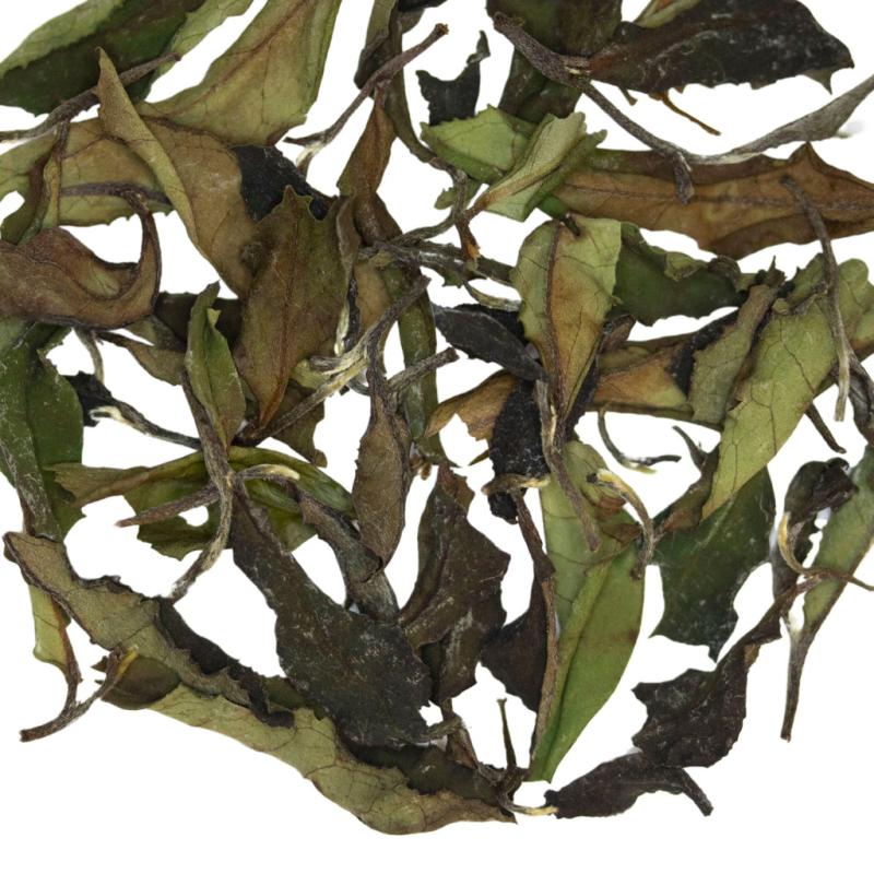 Whispering Cave | White Tea TEA White Tea