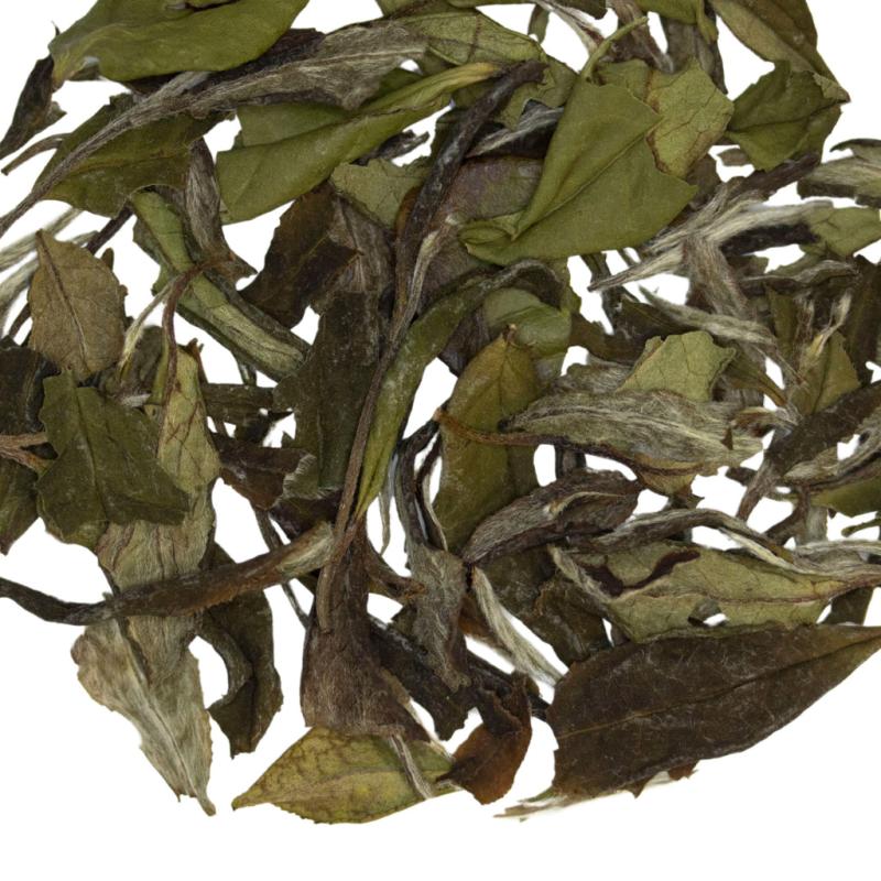 White Lightning | White Tea TEA White Tea