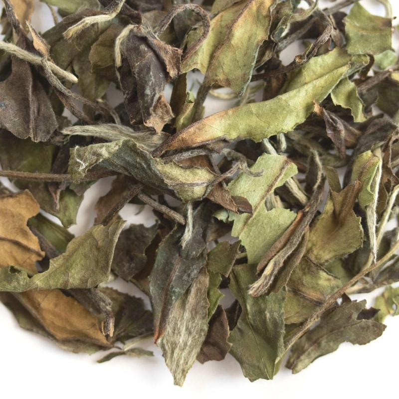 White Peony | White Tea TEA White Tea